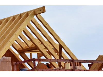 22-year-old carpenter sustains fatal head injury